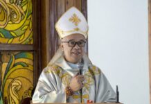 Church group demands halt to Talim wind farm construction