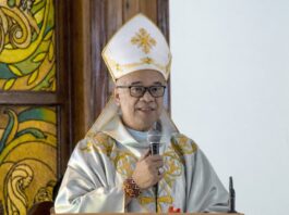 Church group demands halt to Talim wind farm construction