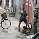 Man Arrested for Allegedly Selling Dog Meat After Being Caught Beating Dogs