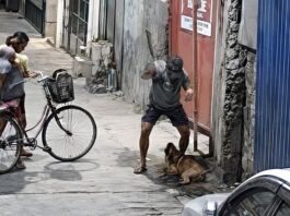 Man Arrested for Allegedly Selling Dog Meat After Being Caught Beating Dogs