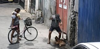 Man Arrested for Allegedly Selling Dog Meat After Being Caught Beating Dogs