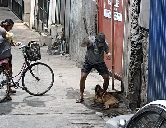 Man Arrested for Allegedly Selling Dog Meat After Being Caught Beating Dogs