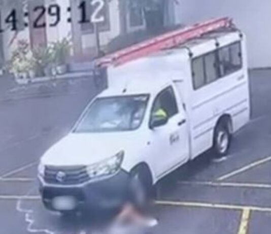 Pickup Driver Who Ran Over Child in Parking Area Permanently Banned From Driving