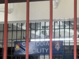 Security Guard Reported for Being Drunk While on Duty Shoots Co-Worker