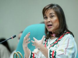 Loren Legarda Seeks Stricter Laws Following Zamboanga School Shooting