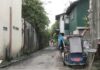 Pregnant Stray Dog Rescued in Bacolod After Alleged Beating Leaves Her Injured