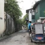 Pregnant Stray Dog Rescued in Bacolod After Alleged Beating Leaves Her Injured