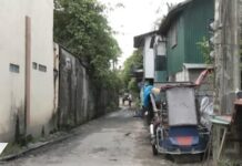 Pregnant Stray Dog Rescued in Bacolod After Alleged Beating Leaves Her Injured