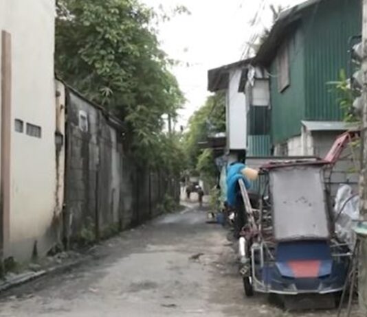 Pregnant Stray Dog Rescued in Bacolod After Alleged Beating Leaves Her Injured