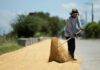 Philippines says value of Q2 farm and fisheries output up 2.9% yr/yr