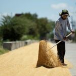 Philippines says value of Q2 farm and fisheries output up 2.9% yr/yr