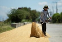 Philippines says value of Q2 farm and fisheries output up 2.9% yr/yr