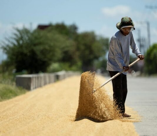 Philippines says value of Q2 farm and fisheries output up 2.9% yr/yr