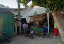 16 Students Hospitalized After Feeling Dizzy From Eating Kasla Fruit in Cadiz City