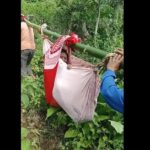 Elderly UPLIFT Program Beneficiary Carried Through Difficult Terrain to Attend Orientation