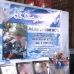 4-Year-Old Boy Dies More Than a Month After Stray Dog Bite Despite Receiving Anti-Rabies Vaccines