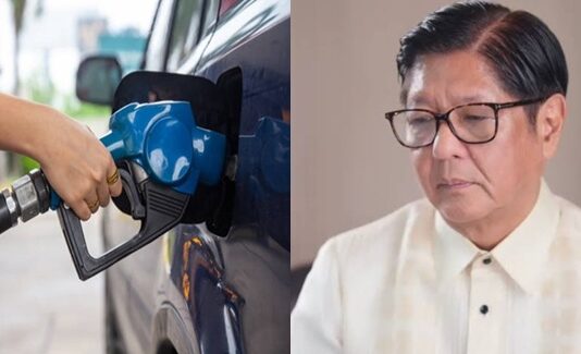 Palace Says Bongbong Marcos Did Not Want the Fuel Price Crisis to Happen