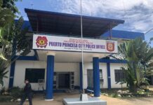 2 Police Officers Reportedly Accused of Assaulting Civilian in Puerto Princesa