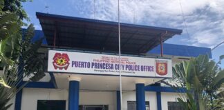 2 Police Officers Reportedly Accused of Assaulting Civilian in Puerto Princesa