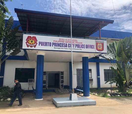 2 Police Officers Reportedly Accused of Assaulting Civilian in Puerto Princesa