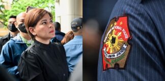 PNP Offered Sara Duterte Protection, But She Said No