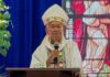 Bishop calls reforestation ‘a big lie’ as 57,000 trees face cutting in Palawan