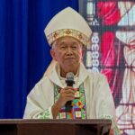 Bishop calls reforestation ‘a big lie’ as 57,000 trees face cutting in Palawan