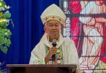 Bishop calls reforestation ‘a big lie’ as 57,000 trees face cutting in Palawan
