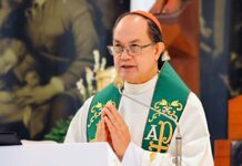 Cardinal urges Congress to pass anti-dynasty law after SC ruling
