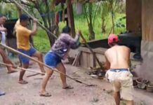 17-Year-Old College Student Dies After Alleged Cobra Bite in Davao Oriental