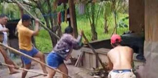 17-Year-Old College Student Dies After Alleged Cobra Bite in Davao Oriental
