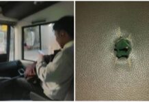 Female Passenger Injured by Sharp Object Inside Modernized Jeep in Iloilo City
