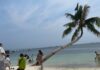 Lady Netizen Questions P10 Photo Fee at Leaning Coconut Tree in Boracay