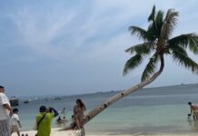 Lady Netizen Questions P10 Photo Fee at Leaning Coconut Tree in Boracay