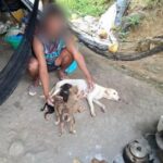 Man Denies Feeding Pet Puppy to Python in Cagayan