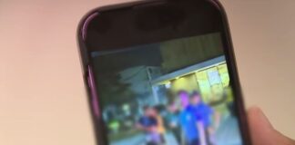LTO Suspends Driver’s License of Pickup Driver After He Mocked Fallen Rider on EDSA