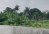 Negros Occidental Farmers Protest Alleged Land Grabbing by Poultry Farm