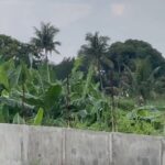 Negros Occidental Farmers Protest Alleged Land Grabbing by Poultry Farm