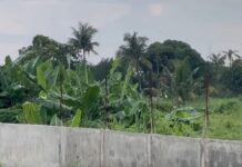 Negros Occidental Farmers Protest Alleged Land Grabbing by Poultry Farm