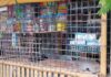 Sari-Sari Store Loses P10k Worth of Grocery Items to Unidentified Thief