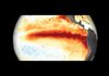 How can the same El Niño cause drought in one part of the world and floods in another?