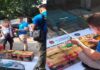 Senior Citizen Arrested in CIDG Entrapment Operation for Illegal Sale of Birds