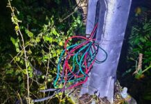 Suspect in Streetlight Wire Theft in Puerto Princesa City Escapes