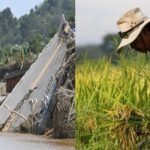 Millions in Agricultural Aid Still Undistributed After Kristine Disasters