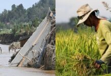 Millions in Agricultural Aid Still Undistributed After Kristine Disasters