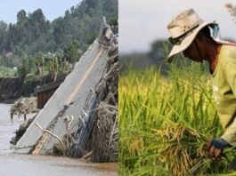 Millions in Agricultural Aid Still Undistributed After Kristine Disasters