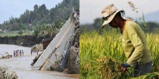 Millions in Agricultural Aid Still Undistributed After Kristine Disasters