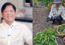Bongbong Marcos Urges Filipinos to Bring Back Plantita Culture as Super El Niño Threatens Crops