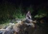 29 Animal Remains Found Dumped in San Jose del Monte, Bulacan: Community Seeks Justice