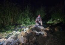 29 Animal Remains Found Dumped in San Jose del Monte, Bulacan: Community Seeks Justice